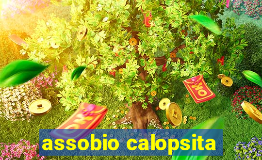 assobio calopsita